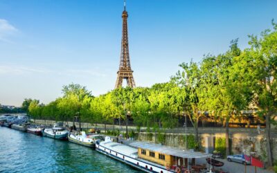 Les secrets inavoués des marchés parisiens